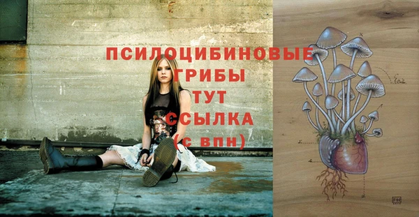 сатива Богородицк