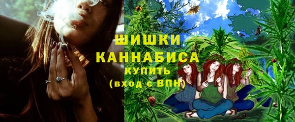 сатива Богородицк