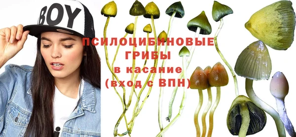 сатива Богородицк