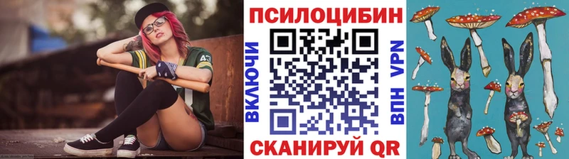 купить закладку  Качканар  Псилоцибиновые грибы Magic Shrooms 